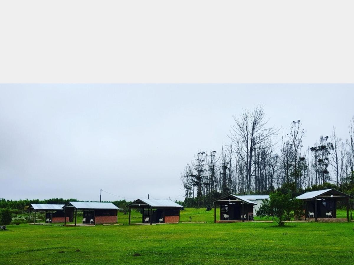 Cadeau Hiking And Accommodation Witelsbos 外观 照片