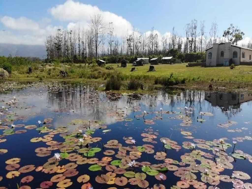 Cadeau Hiking And Accommodation Witelsbos 外观 照片